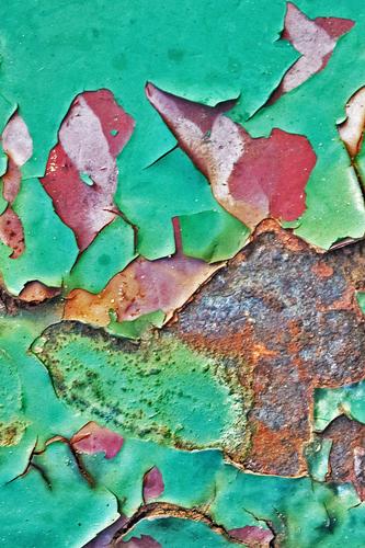 Forest Floor